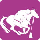 Logo-Pony-Games_listitem_no_crop_1